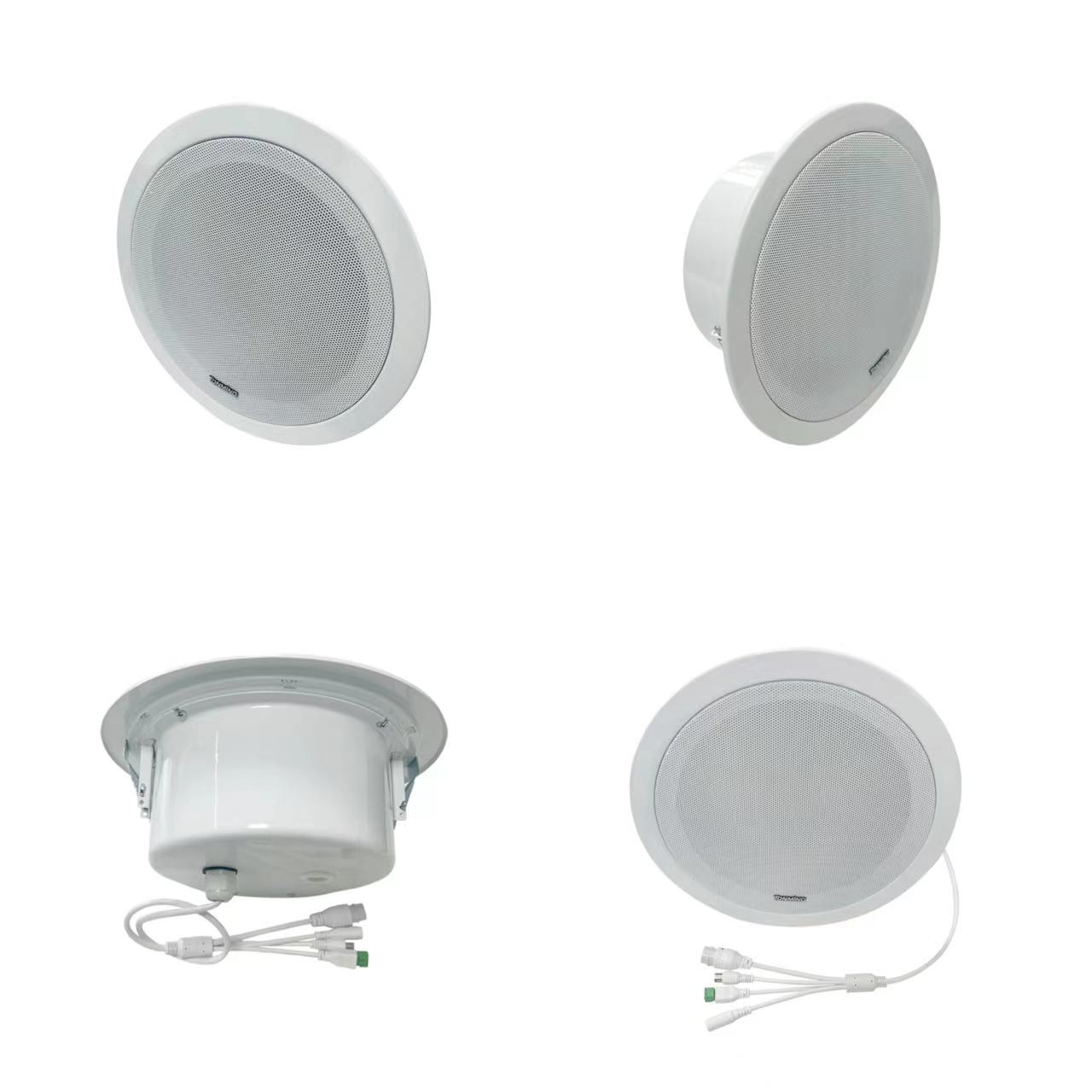 Altoparlante da soffitto IP da 30 W